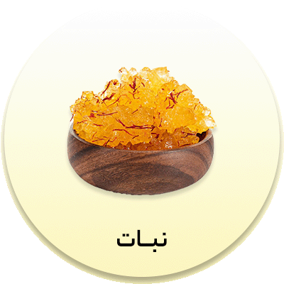 نبات